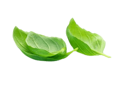 Category Image